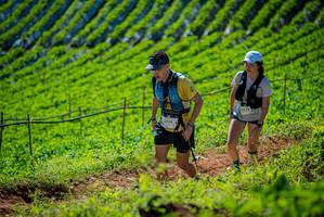 BIB: 1114, 3335
                            <button type="button" onclick="openModal(19162566)" class="btn btn-primary btn-sm float-right btn-popup" data-toggle="modal" data-target=".modal-high-quality">
                        <i class="fas fa-shopping-cart"></i> Add to Cart
                    </button>
                                            <button type="button" onclick="isThisMe(19162566, true)" class="btn btn-success btn-sm float-right btn-popup btn-isme hidden" data-toggle="tooltip" data-placement="bottom" title="นี่คือรูปของคุณใช่ไหม คลิกที่นี่เพื่อเอาเข้าอัลบั้ม">
                        <i class="fas fa-plus"></i> Add to album
                    </button>
                    <button type="button" onclick="isThisMe(19162566, false)" class="btn btn-warning btn-sm float-right btn-popup btn-isnotme hidden">
                        <i class="fas fa-ban"></i> Remove from album
                    </button>